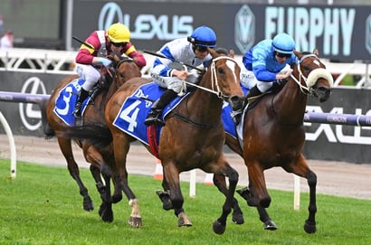 Morphettville Tips for 16.08.2025