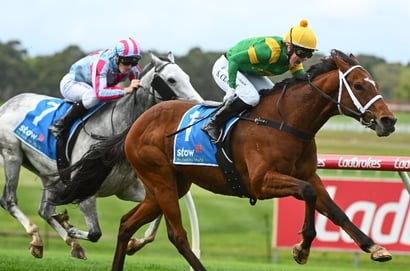 Morphettville Tips for 22.02.2025