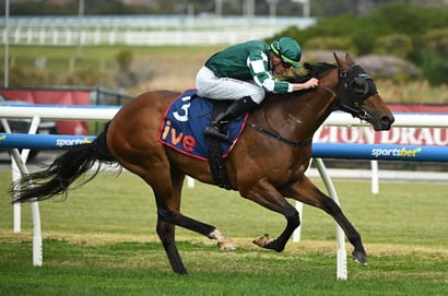 Morphettville tips - 11/04