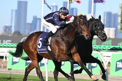 Morphettville tips - 21/02