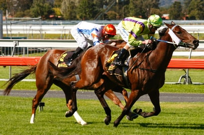 Morphettville tips - 28/02