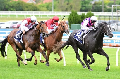 Morphettville tips - 31/01