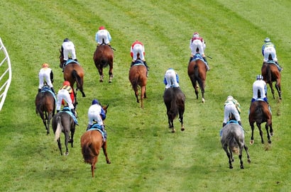 Morphettville tips for 04.11.2025