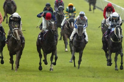 Morphettville tips for 05.09.2026