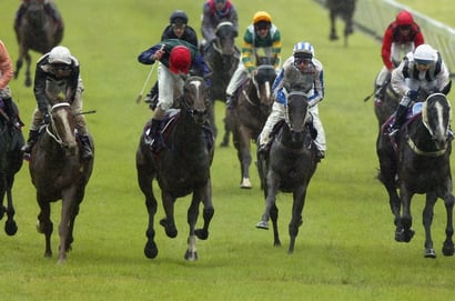 Morphettville Betting Tips for June 6, 2026 - Placo the Parks Specialist