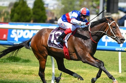 Morphettville Betting Tips for May 9, 2026 - Race-by-Race Preview for Goodwood Day
