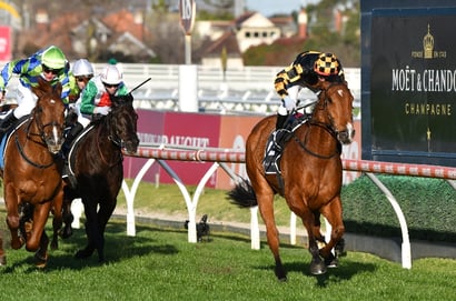 Morphettville Betting Tips for August 8, 2026 - Rogue Warrior Ready to Strike