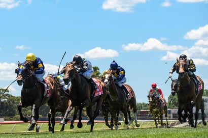 Morphettville tips for 10.10.2026