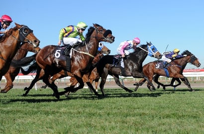 Morphettville tips for 12.12.2025