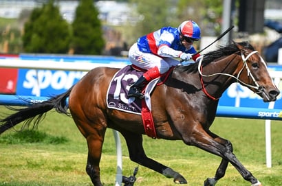Morphettville tips for 13.09.2025