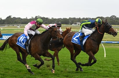Morphettville tips for 14.02.2026