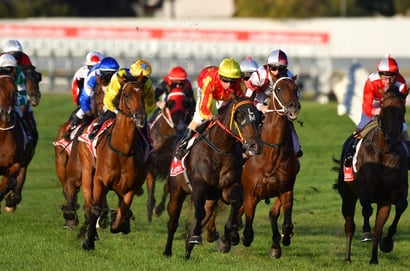 Morphettville tips for 17.10.2026
