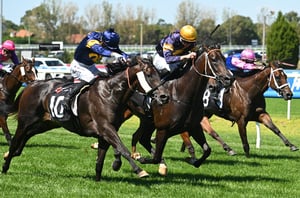 Morphettville tips for 18.07.2026
