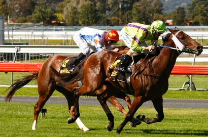 Morphettville tips for 19.09.2026