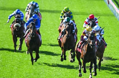 Morphettville tips for 20.06.2026