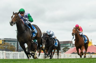 Morphettville tips for 23.08.2025