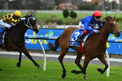 Morphettville tips for 25.07.2026