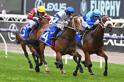 Morphettville tips for 25/10