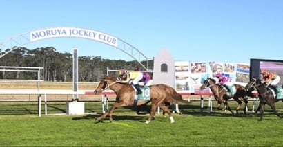 Moruya Racing Tips for October 2 – Manwari to improve sharply in last of the day