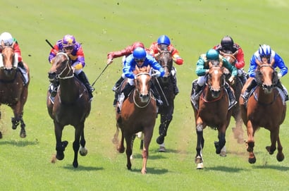 Moruya tips - 15/09