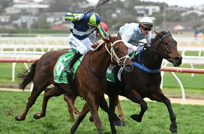 Mount Gambier tips - 22/05