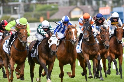 Mt Gambier tips - 07/10