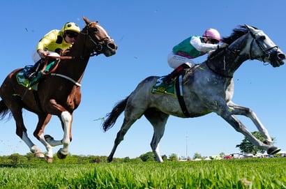 Mt Gambier tips - 10/06