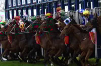 Murray Bridge Tips for 02.07.2025