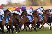 Murray Bridge Tips for 02.08.2025