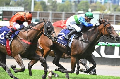 Murray Bridge Tips for 08.03.2025