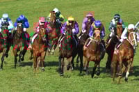 Murray Bridge Tips for 12.07.2025