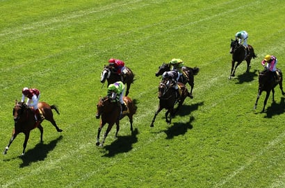 Murray Bridge Tips for 14.05.2025