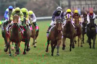 Murray Bridge Tips for 14.06.2025
