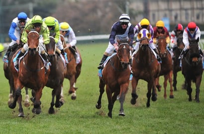 Murray Bridge Tips for 14.06.2025
