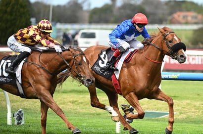 Murray Bridge tips - 07/03