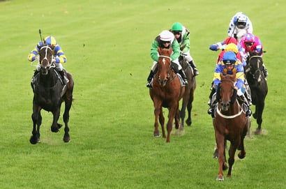 Murray Bridge tips - 20/12