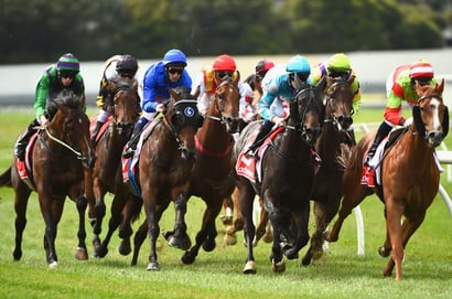 Murray Bridge tips for 03.10.2026