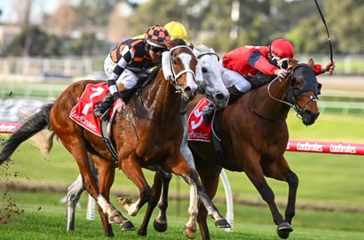 Murray Bridge tips for 11.10.2025