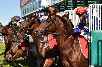 Murray Bridge tips for 17/01