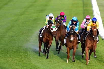 Murray Bridge tips for 17.09.2025