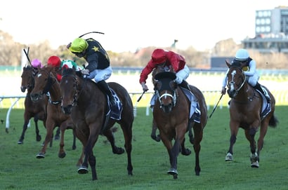 Murwillumbah tips for 21.08.2026
