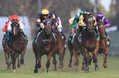 Muswellbrook Dabble - 08/09