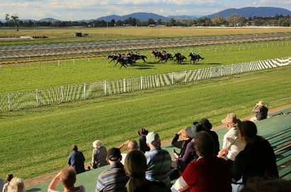 Muswellbrook Horse Racing