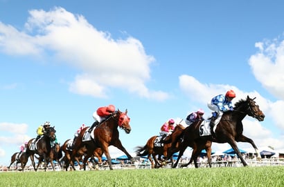 Muswellbrook Tips for 08.07.2025