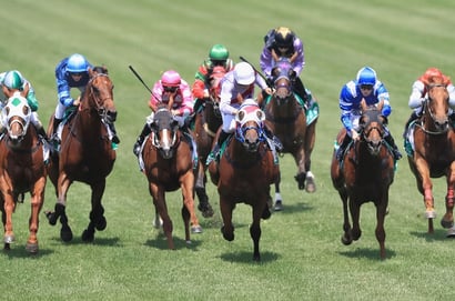 Muswellbrook tips - 08/09
