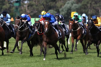 Muswellbrook tips - 26/07