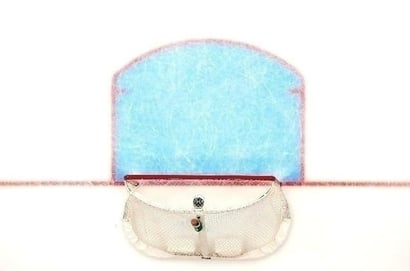 NHL hockey goal