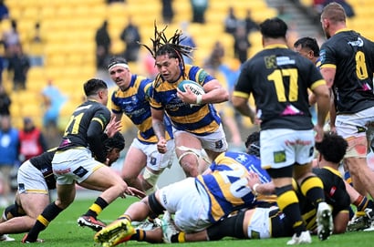 2025 NPC Winner Odds - Tasman favourites ahead of defending champs, Wellington