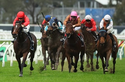 Goulburn Racing Tips for August 11 - Your Magic looks set for back-to-back success