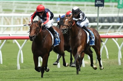 NSW Horse Racing